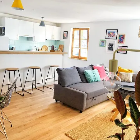 Charming Basel Border - 3 Bedrooms Appartement *