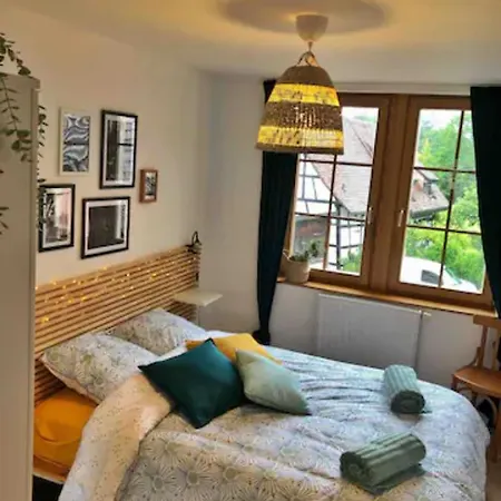 Charming Basel Border - 3 Bedrooms Apartment Hegenheim
